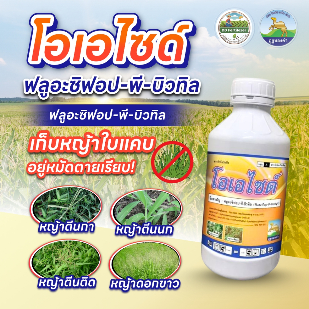 โอเอไซด์ #ฟลูอะซิฟอป-พี-บิวทิล 15% W/V EC ขนาด 500 ซีซี สารกำจัดวัชพืชใบแคบ หญ้าดอกขาว หญ้านกสีชมพู