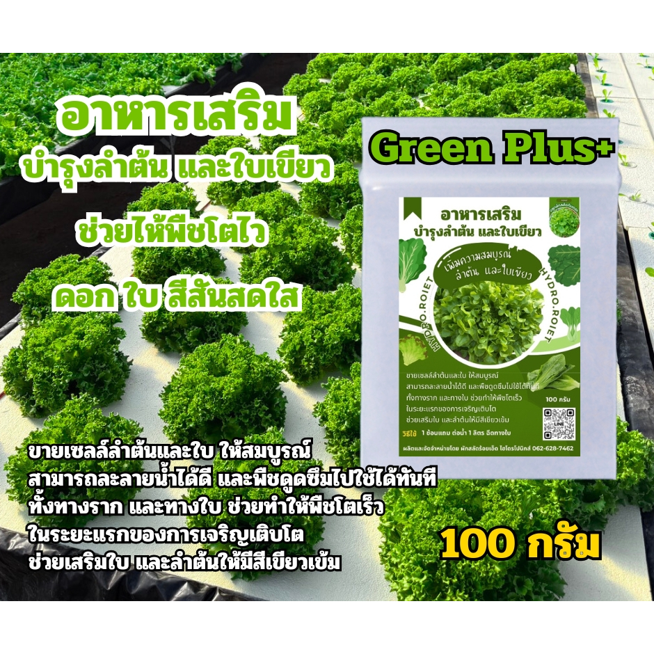 (ขายดี) Green Plus+ ที่สุดของ อาหารเสริมทางใบ บำรุงลำต้น และใบเขียวช่วยไห้พืชโตไว ดอก  ใบ สีสันสดใส