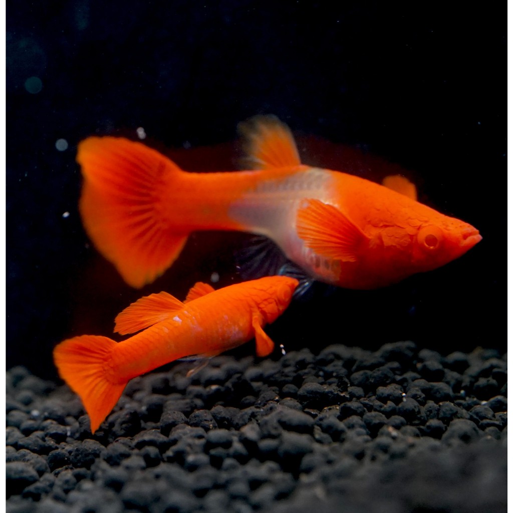 รูปภาพ 3