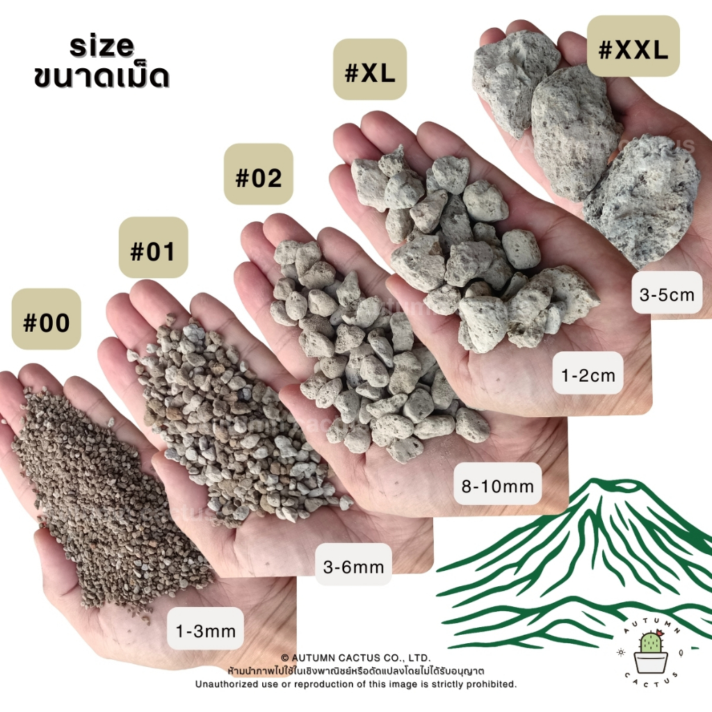 รูปภาพ 2