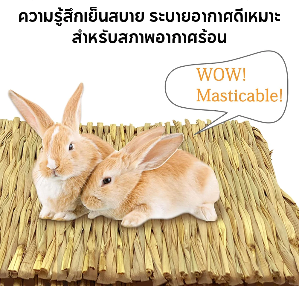 PETLUSCI ที่นอนหญ้าแห้ง เสื่อหญ้า สำหรับกระต่าย หนูตะเภา thumbnail 3