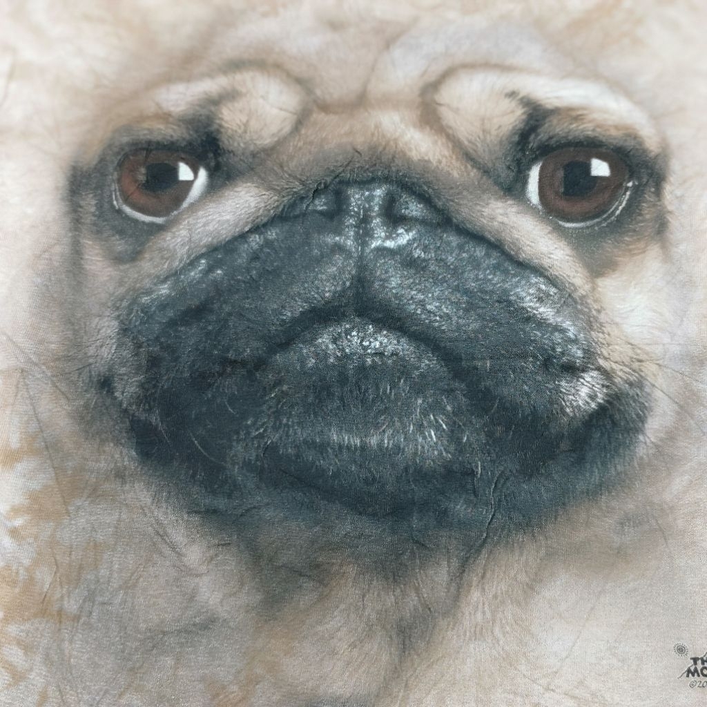 L26♥️อก38ยาว26" ♥️mountain 👕เสื้อยืดมือ2 USA สภาพสวย ราคาถูก