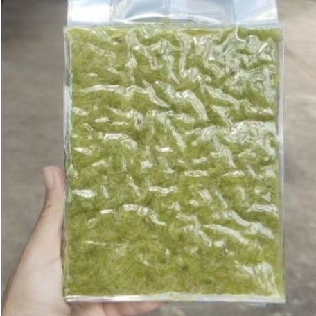 [ ขนาด 1 กิโลกรัม ] ข้าวเม่าสดแม่เบนเทน สด หอม อ่อน ส่งตรงจากแหล่งผลิต