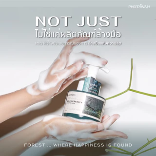 Phutawan ภูตะวัน วิปโฟมล้างมือ Phutawan Whipped Foam Hand Wash (300ml)