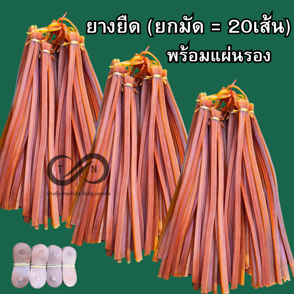 หนังยาง หนังยางพม่า หนังพม่า หนังยิงยก หนังยิงปลา ยางยืด ยางเอนกประสงค์