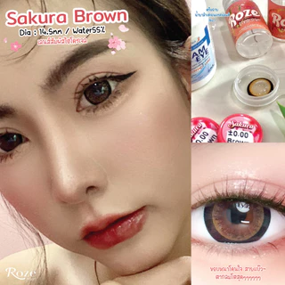 🔥คอนแทคเลนส์ ✨ขนาดบิ๊กอาย✨Sakura (Rozelens)