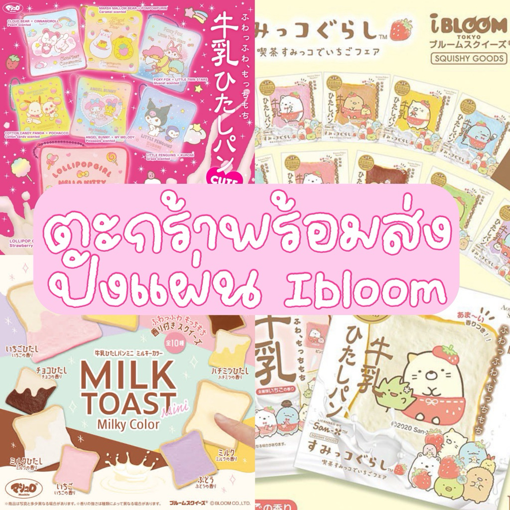 (พร้อมส่ง) ปังแผ่น Ibloom มือ 1