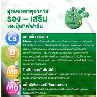 ปุ๋ย แม็กเพาวเดอร์ กิฟฟารีน ธาตุแมกนีเซียมเดี่ยว เพิ่มความเขียว สังเคราะห์แสง