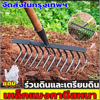 🔥จอบถากหญ้าคมๆ คราดถากหญ้า9ฟัน/12ฟัน คราดเหล็กแมงกานีส ทนทาน ใช้ขุดดิน ถางหญ้าดายหญ้า คราดตัอุปกรณ์เกษตรเอนกประสงค์