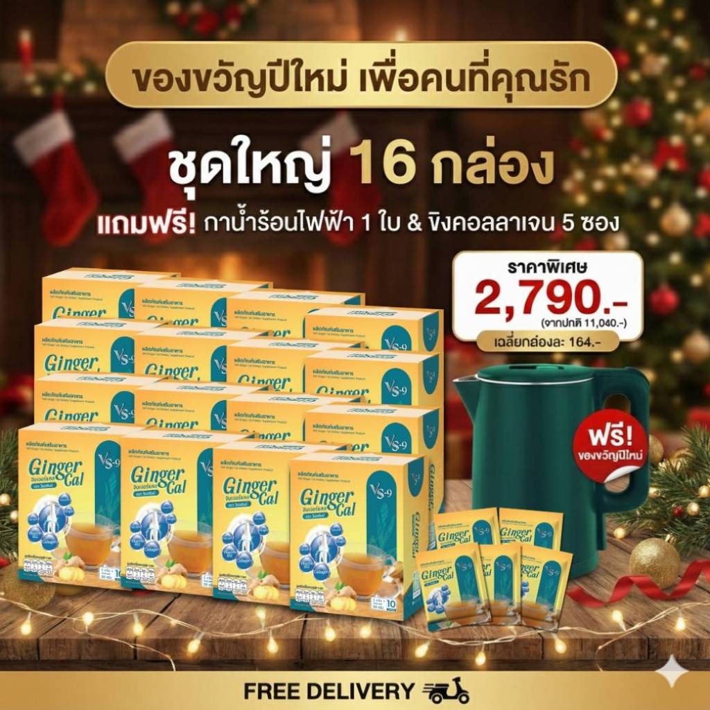 VS9 GingerCal คอลลาเจนสูตรขิงและขมิ้นชัน เซทใหญ่ ของขวัญปีใหม่นี้
