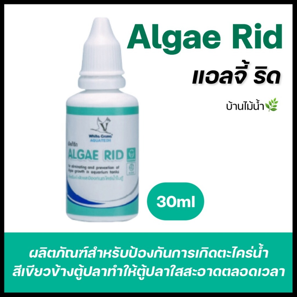 แอลจี้ ริด Algae Rid  ผลิตภัณฑ์สำหรับป้องกันการเกิดตะไคร่น้ำสีเขียวข้างตู้ปลาทำให้ตู้ปลาใสสะอาดตลอดเวลา | บ้านไม้น้ำ🌿