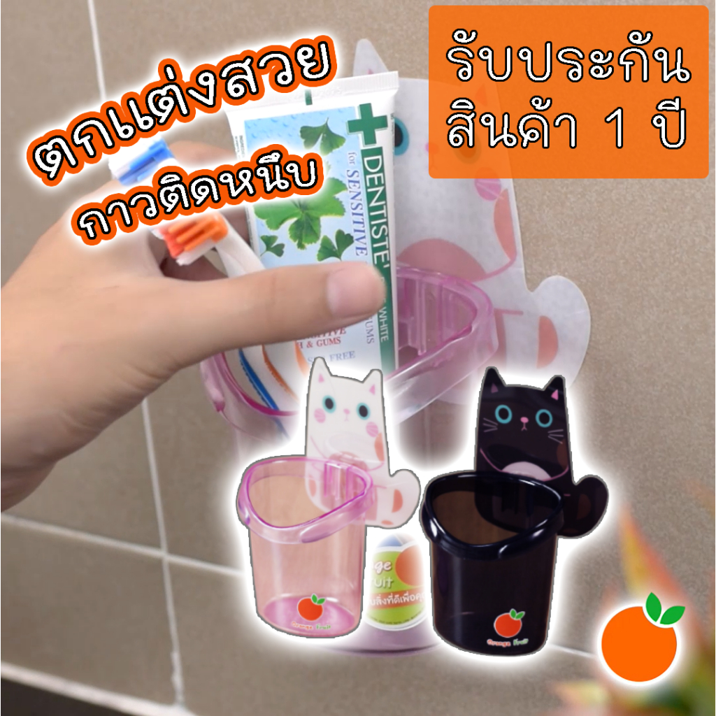 กระบอกแมวเหมียว Orange Fruit ที่เก็บแปรงสีฟัน รับประกันสินค้า 1 ปี