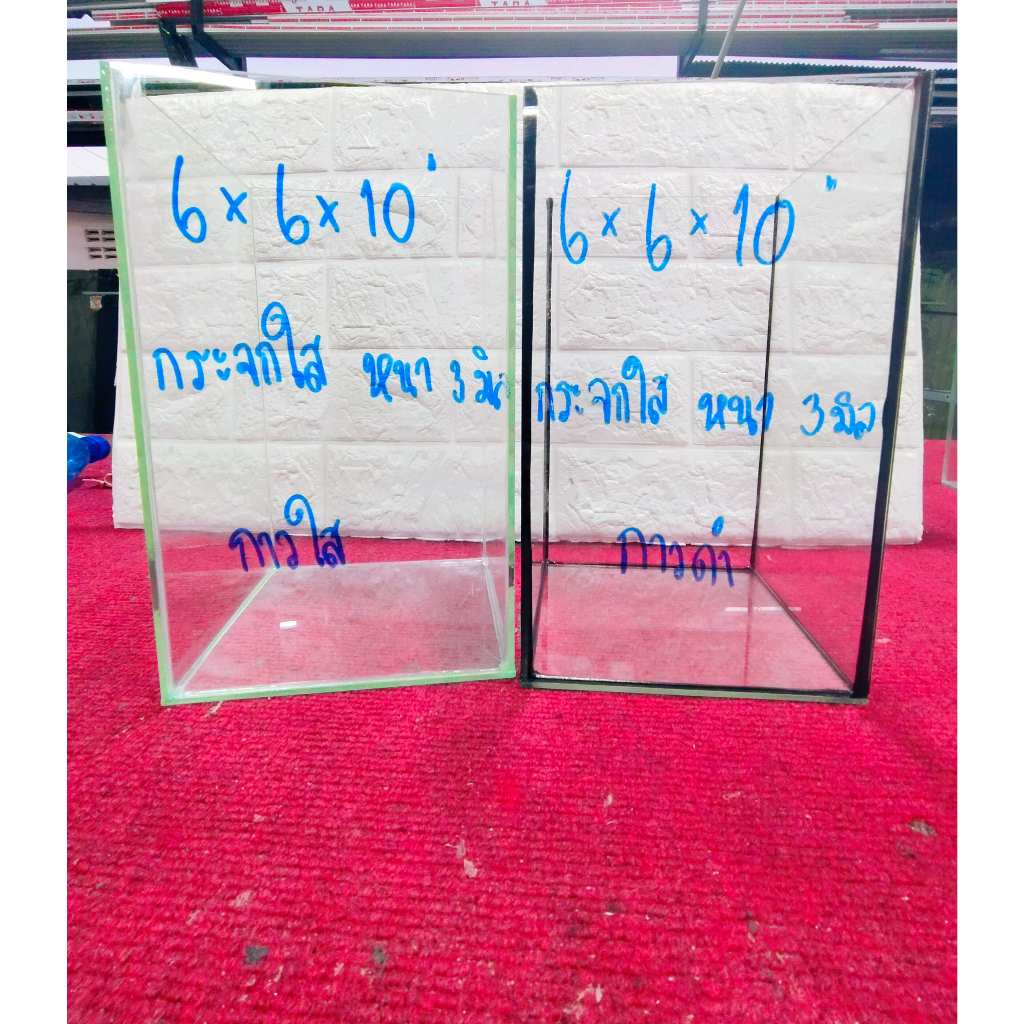 โหลปลากัด 6x6x10 นิ้ว กระจกหนา 3 มิล สำหรับปลากัดและสัตว์เล็ก พร้อมกาวใสและกาวดำ