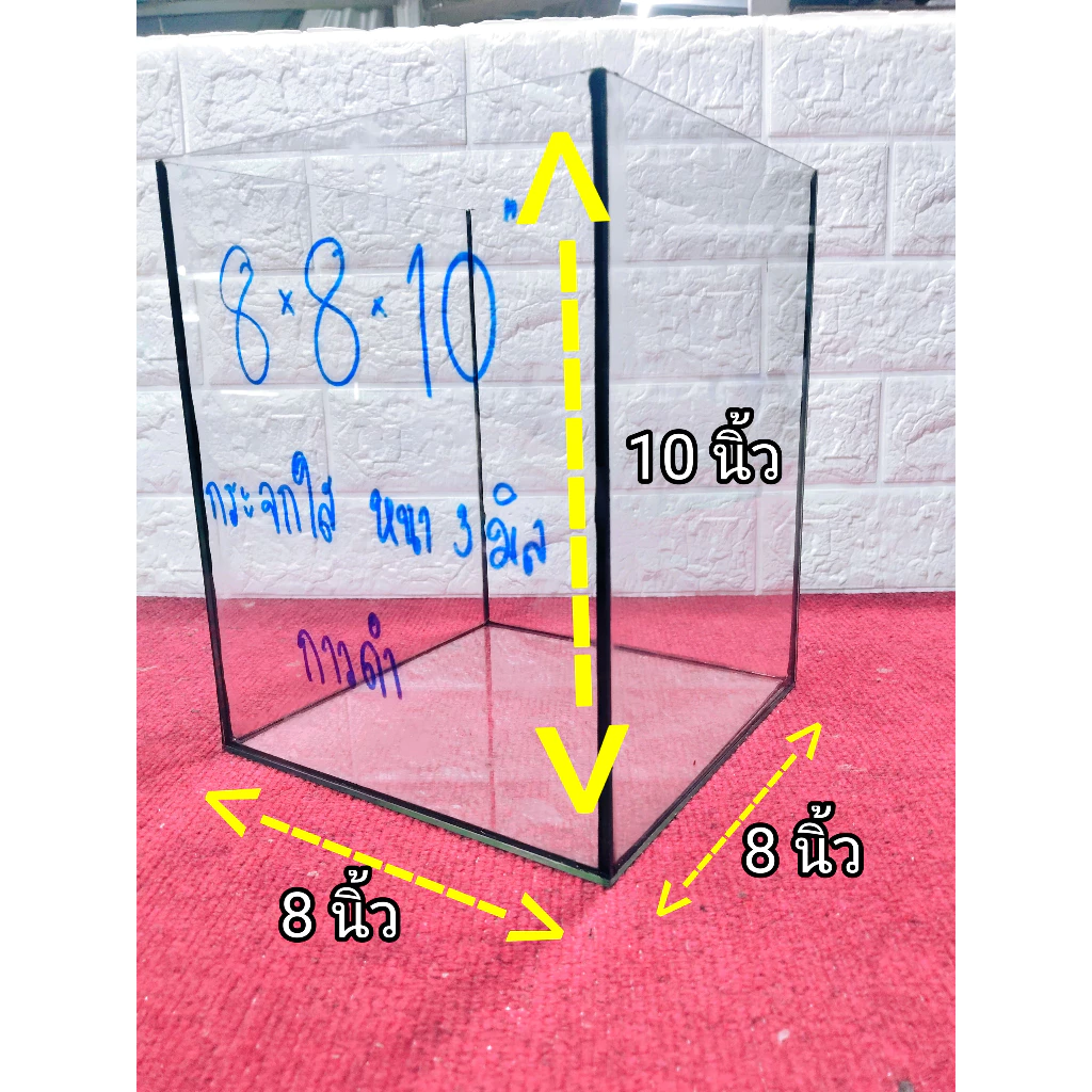 โหลปลากัด 8x8x10 นิ้ว กระจกหนา 3 มิล สำหรับปลากัดและสัตว์เล็ก พร้อมกาวใสและกาวดำ  รับประกันสินค้า thumbnail 3