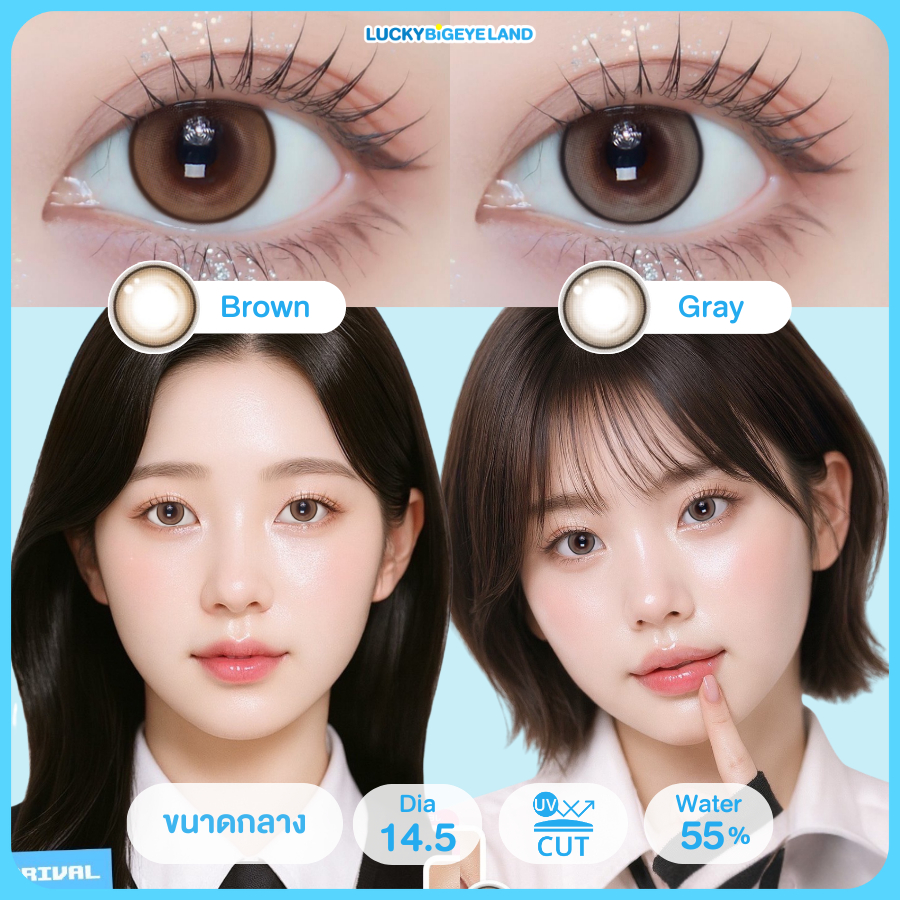คอนแทคเลนส์ Jenny Brown / Gray (Kitty Kawaii) ขนาดกลาง 💙 รูปที่ 5