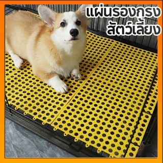 แผ่นรองกรงสัตว์เลี้ยง แผ่นรองพื้นกรง สามารถรวมและตัดได้อย่างอิสระ เหมาะสำหรับ สุนัข แมว กระต่าย 6 สีขนาด30x30 ซม