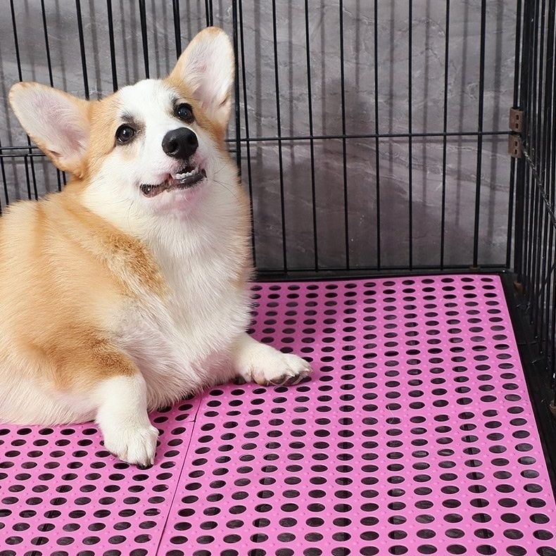 แผ่นรองกรงสัตว์เลี้ยง แผ่นรองพื้นกรง สามารถรวมและตัดได้อย่างอิสระ เหมาะสำหรับ สุนัข แมว กระต่าย 6 สีขนาด30x30 ซม - รูปที่ 6