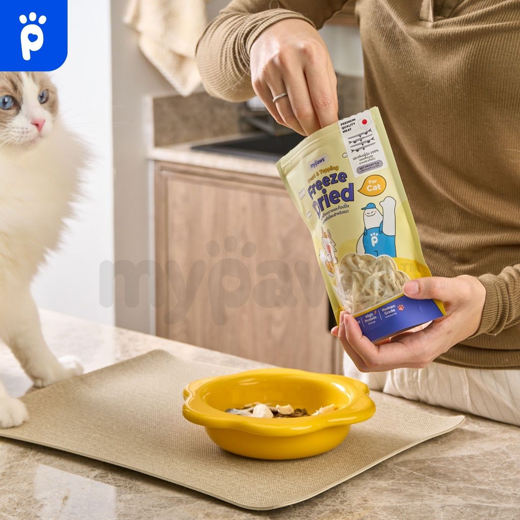 My Paws Freeze Dried ขนมแมว ปลาเงินฟรีซดราย 100% เนื้อสัตว์เต็มคำ ไม่ผสมธัญพืช ไม่เติมเกลือ มีเลขทะเบียนอาหารสัตว์ ราคา ถูกที่สุด ดีลบีเคเค แกลเลอรีภาพที่ 4