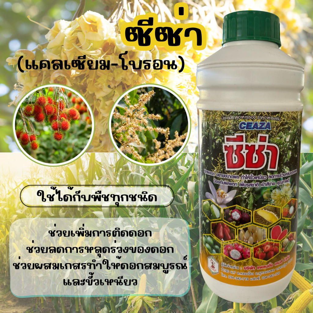 (รักษ์เกษตร)🎄 ซีซ่า (แคลเซียมโบรอน) 📌ใช้ได้กับพืชทุกชนิด ช่วยให้ติดดอก ผลใหญ่ ขั้วเหนียว ลดการหลุดร่วง 1 ลิตร