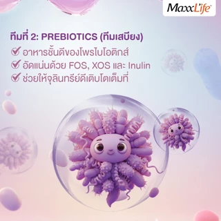 Maxxflow Probiotics Jelly (แม็กซ์โฟลว์ โปรไบโอติกส์ เยลลี่ BC30 ) Maxxlife