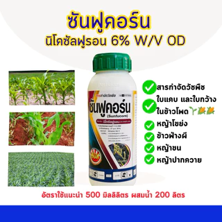 นิโคซัลฟูรอน สารกำจัดวัชพืชใบแคบใบกว้างในข้าวโพด กำจัดหญ้าโขย่ง หญ้าขน ข้าวฟ่างผี แนะนำฉีดพ่น 15วันขึ้นไป ดินมีความชื้น