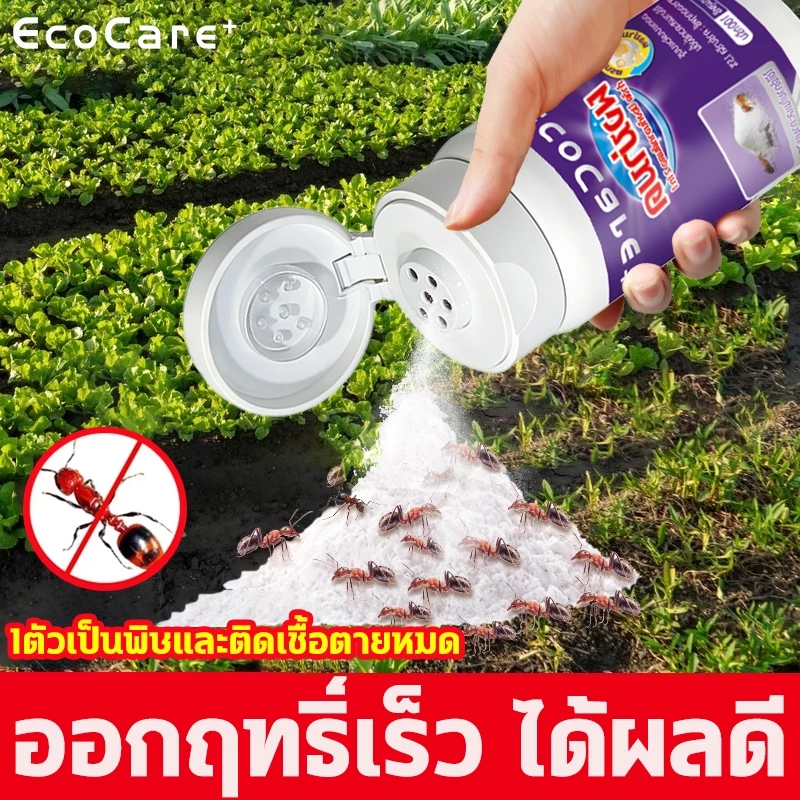 🐜ป้องกันมดได้ตลอดทั้งปี🐜ผงกำจัดมด ยาฆ่ามด เหยื่อมด เหยื่อกำจัดมด 100g ปลอดภัยต่อคน แบบผง ใช้ง่ายสะดวก กำจัดมด ยกรั