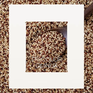 Llamito ควินัว 3 สี ออร์แกนิค (Organic Tricolor Quinoa) ขนาด 500 - 900g=