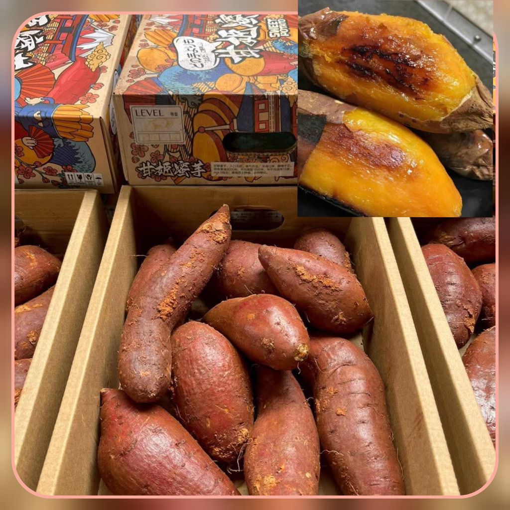 มันหวานเบนิฮารุกะแท้ หวาน ฉ่ำ นุ่มละมุล ฤดูหนาวมันหวานจะอร่อยสุดค่ะ ทางร้านจัดดส่งตามยี่ห้อเข้าใหม่