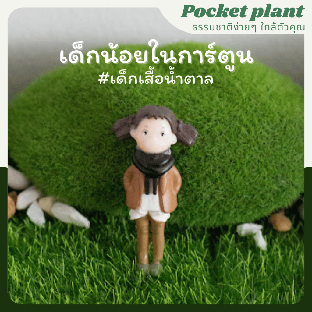 มุมมอง 6