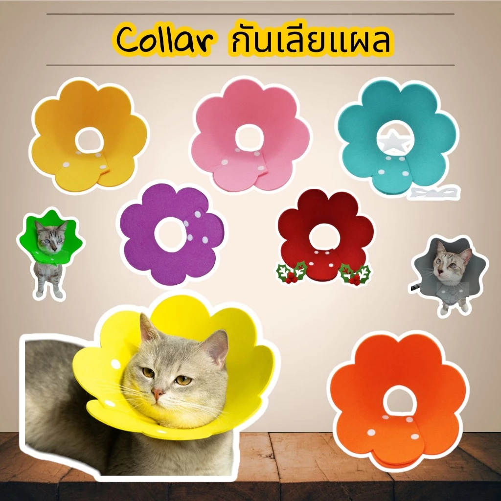 (C01)คอล่ากันเลียแผล (พร้อมส่งจากไทย!!) สำหรับสัตว์เลี้ยงทำหมัน หรือบาดเจ็บ ลำโพงกันเลีย สุนัข แมว