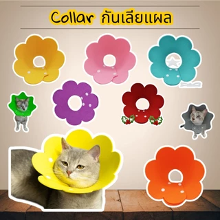 (C01)คอล่ากันเลียแผล (พร้อมส่งจากไทย!!) สำหรับสัตว์เลี้ยงทำหมัน หรือบาดเจ็บ ลำโพงกันเลีย สุนัข แมว