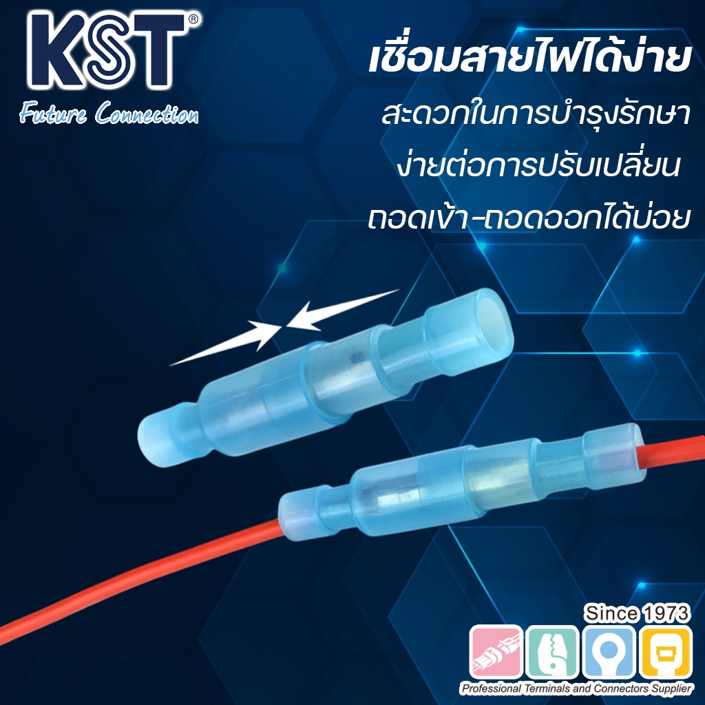KST หางปลาเสียบกลมตัวผู้หุ้มเต็มชนิดไนล่อน ถุงละ100ชิ้น ราคา ถูกที่สุด ดีลบีเคเค แกลเลอรีภาพที่ 2