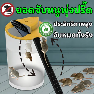 🐀คืนเดียวจับหนูเต็มถังเลย🐀ZEO กรงดักหนู กับดักหนู ที่ดักหนู กับดักหนูพลิกฝา - รีเซ็ตอัตโนมัติ - จับหนูได้ตลอด 24 ชม