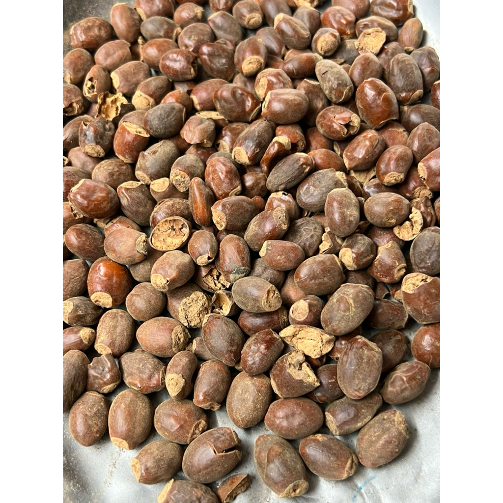 เม็ดลิ้นจี่แห้ง荔枝核: Dried Lychee Seed คัดสะอาด อบแห้งดี เหมาะสำหรับนำไปต้ม ชง หรือใช้เป็นวัตถุดิบ บรรจุ 300 กรัม