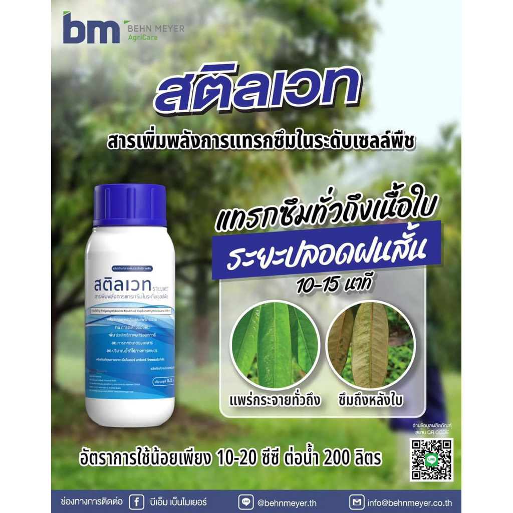 สติลเวท BM เบ็นไมเยอร์ จับใบพรีเมี่ยมแทรกซึมทั้งหน้าใบและหลังใบ