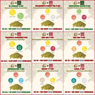 [2 Oz] ฮอปส์(Hops) ขนาดบรรจุ 2 Oz.(57 กรัม) - Crop Year 2024-2025 Amarillo,Citra,Mosaic,Cascade,Centennial,Cashmere, Man