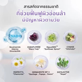 ของแท้!!Pureplusเซรั่มพีพี PP NAT NAD SERUM เซรั่มกู้ผิวนุ่นวรนุช ฟื้นคืนความอ่อนเยาว์ให้ผิวด้วยนวัตกรรม NAD+ 1 ขวด 30ml