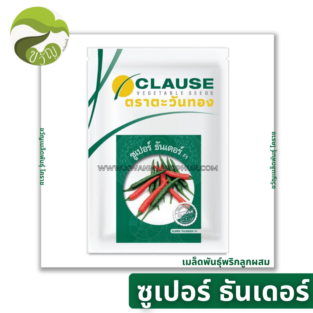 ເມັດພັນພິກ ລູກປະສົມ Super Thunder F1 ຍີ່ຫໍ້ ຕະວັນທອງ ຜົນໃຫຍ່ ເນື້ອແນ່ ທົນການຂົນສົ່ງ