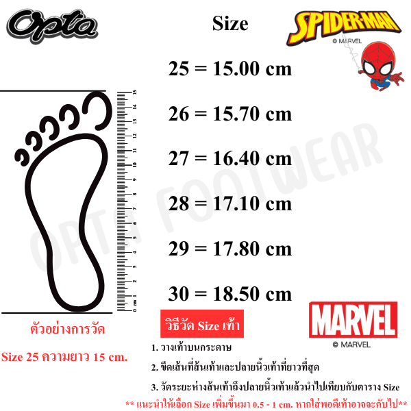 รูปภาพ 7