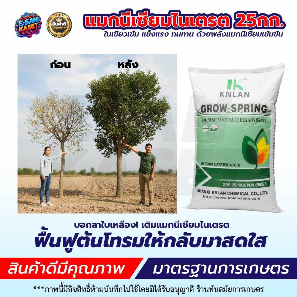 โพแทสเซียมไนเตรท13-0-46 แคลเซียมไนเตรท 15.5-0-0-26.5CaO ขนาด 25Kg. ใช้ผสมน้ำละลายได้ ราคา ถูกที่สุด ดีลบีเคเค แกลเลอรีภาพที่ 7