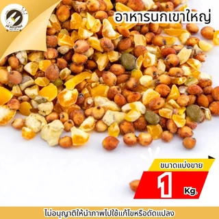 ธัญพืช Seed นกเขาใหญ่ (เขาใหญ่) สำหรับ นกทุกสายพันธุ์ หนูแฮมเตอร์ กระรอก และสัตว์ฟันเทะ (แบ่งขาย1กิโลกรัม)