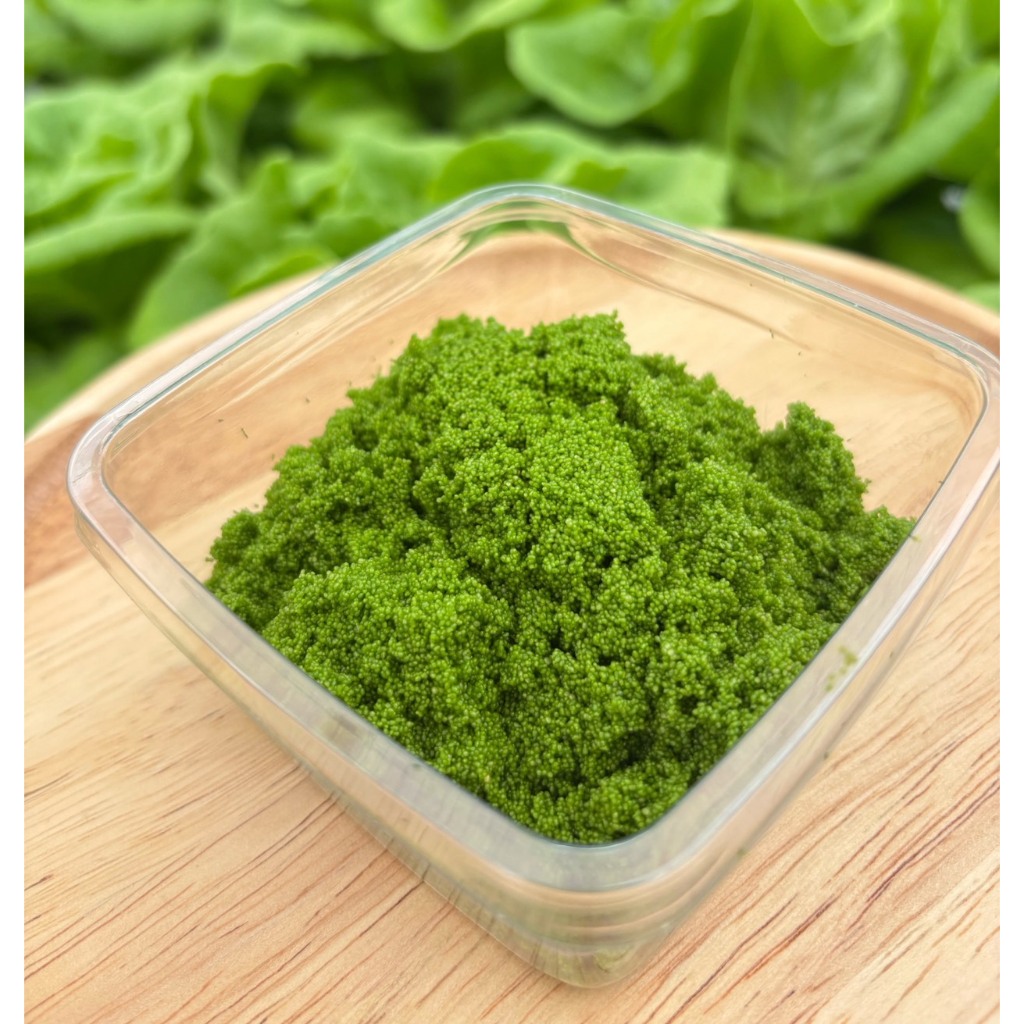 จัดส่งทุกวัน ไข่ผำ Superfood ขนาด 150กรัม - 1กิโลกรัม เหมาะสำหรับคนรักสุขภาพ