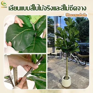 🎍คุ้มค่าที่สุด🎍ต้นไม้ปลอม ต้นไม้ปลอมใหญ่ สูง120/150ซม ความจำลอง 99% สไตล์นอร์ดิก