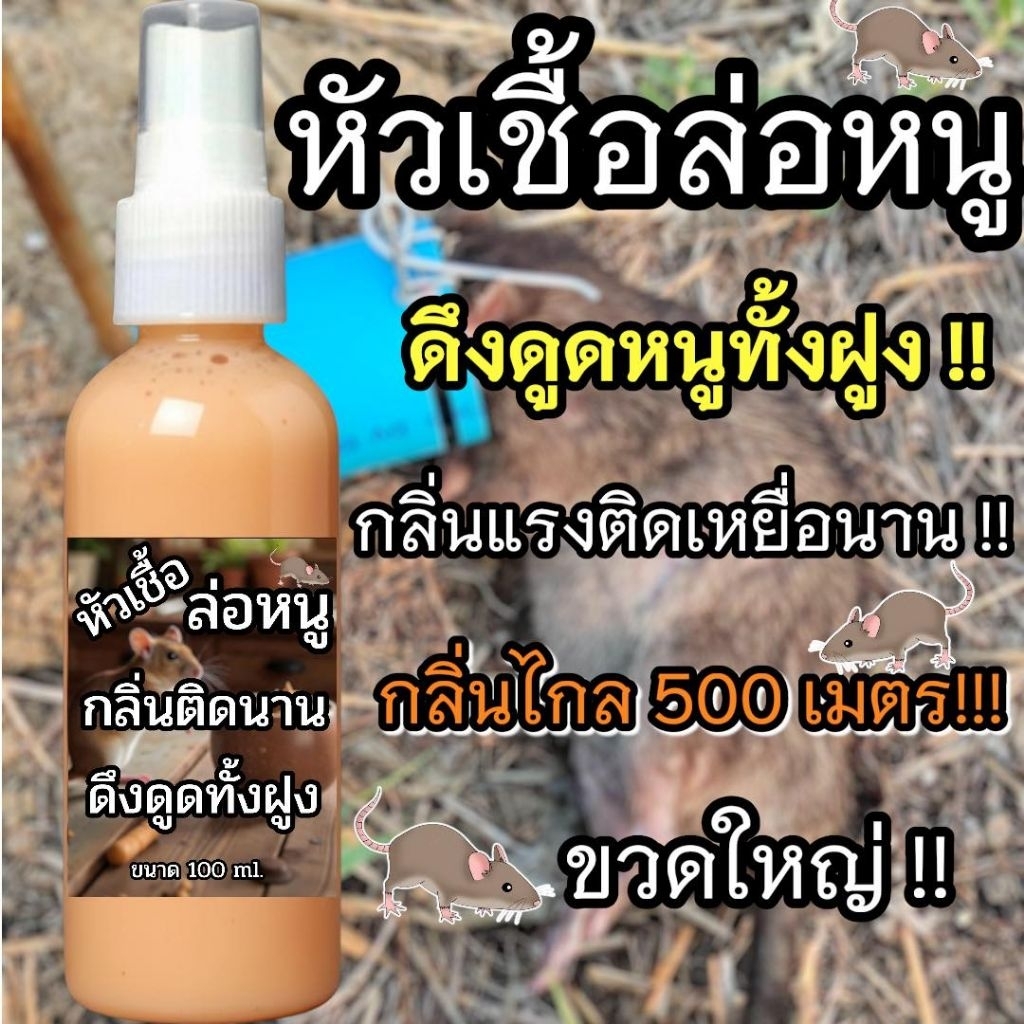 หัวเชื้อล่อหนูนา กลิ่นวนิลา สูตรเข้มข้น ขนาด100ml. กลิ่นแรง ได้กลิ่นไกล ดึงดูดฝูง มีตัวเป็นโดน เห็นผลไว - รูปที่ 4