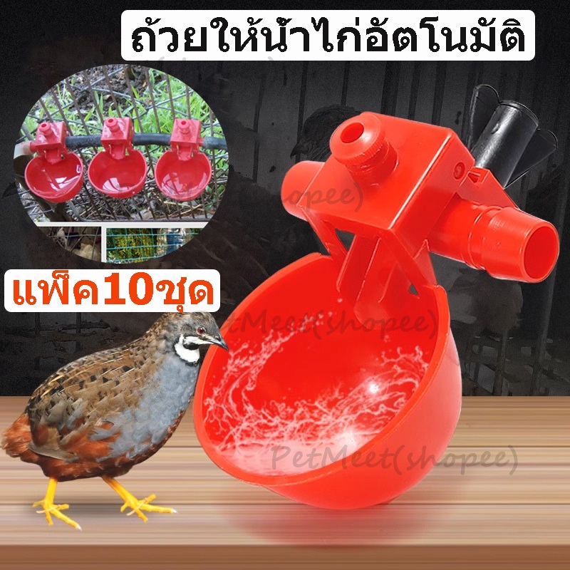 ถูก🎉แพ็ค10ชุด ถ้วยให้น้ำไก่อัตโนมัติ ถ้วยให้น้ำไก่อัตโนมัติแดง​ ถ้วยให้น้ำอัตโนมัติสี/ไก่/นกกระทา ปรับน้ำได้ ถอดล้างได้