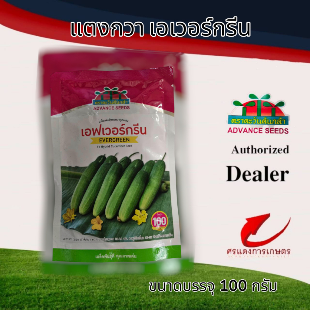 แตงกวาเอฟเวอร์กรีน 100g