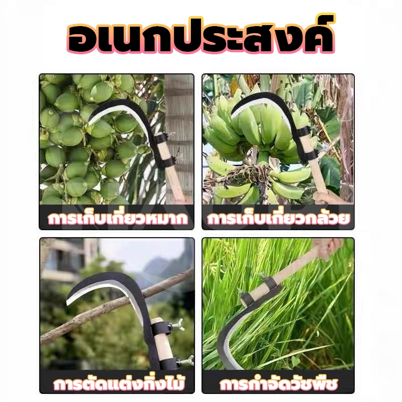 มีดขอเกี่ยวผลไม้ เคียวเกี่ยวผลไม้บนที่สูง ไม่ต้องปีนป่าย ให้เสี่ยงอันตราย เหล็กแมงกานีสขนาดใหญ่หนาคม ราคา ถูกที่สุด ดีลบีเคเค แกลเลอรีภาพที่ 8