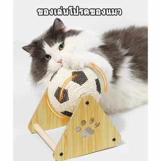🐾😻 ที่ลับเล็บแมว คอนโดแมวใหญ่ 5in1 ของเล่นแมว วัสดุเส้นแปรง ฝนเล็บแมว ที่ฝนเล็บแมว ลับเล็บแมว แผ่นลับเล็บแมว แมวเล็บ
