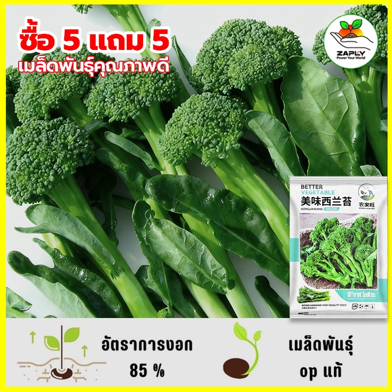 400เมล็ด เมล็ดพันธุ์ เบบี้บล็อคโคลี่ Green Sprouting Broccoli นำเข้าจากต่างประเทศ ปลูกผัก ปลูกง่าย ดอกดก ทานอร่อย