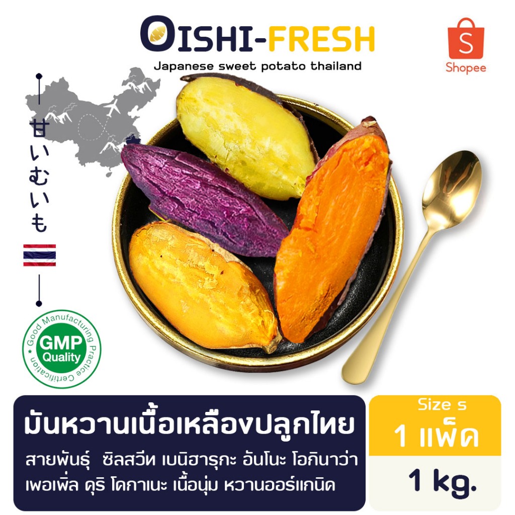 Oishi-Fresh มันหวาน 3 สีสายพันธุ์ ไซต์ Snack ปลูกไทย 1 กก. ปลอดสารพิษ รสชาติหวาน หอม สด ใหม่ หวานออร์แกนิค จัดส่ง24ชม.